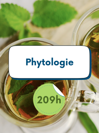 phytologie formation naturopathie institut hildegardien vannes