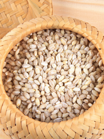 Recette grains d'épeautre augmentés