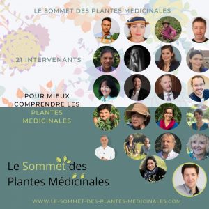 sommet plantes médicinales