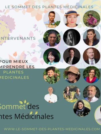 sommet plantes médicinales