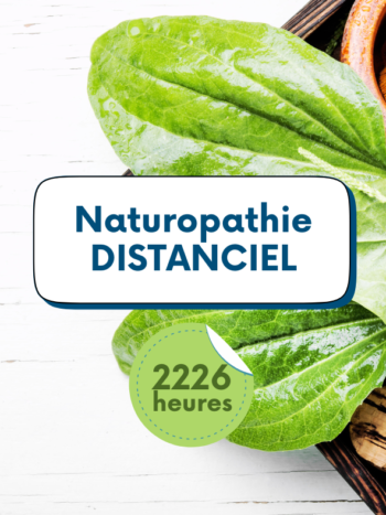 formation naturopathie distanciel Institut Hildegardien vannes