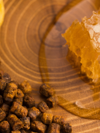 BIENFAITS PROPOLIS panacée
