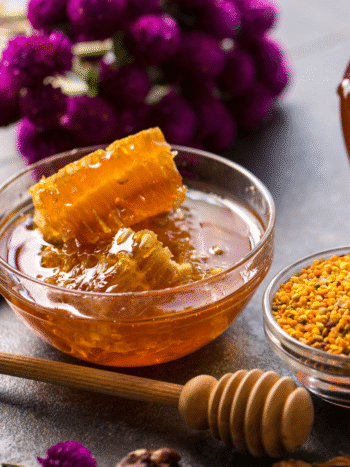 RECETTE DU MIEL DE PROPOLIS