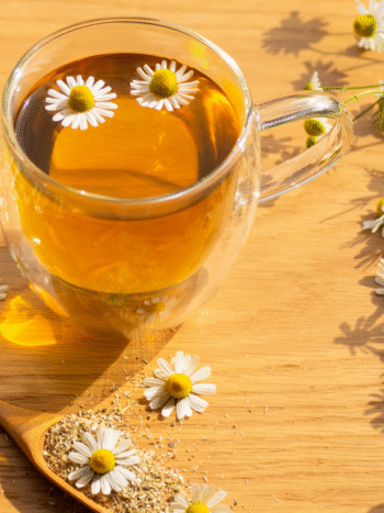 RECETTE DE TISANE POUR FAIRE FACE AUX POLLENS