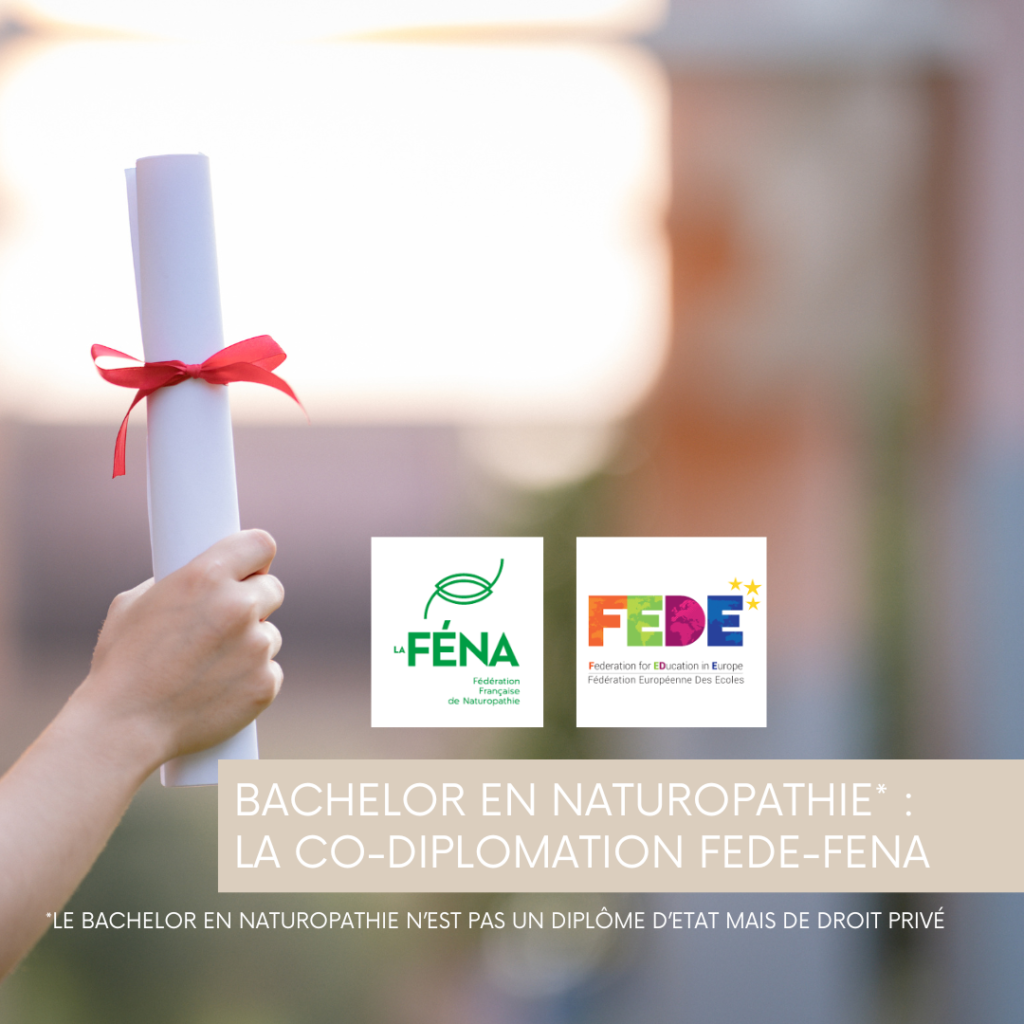 bachelor en naturopathie