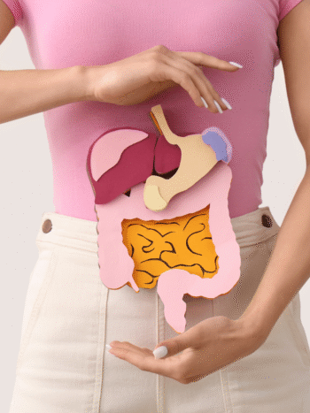 Digestion