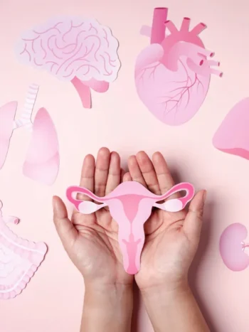 Cycle menstruel de la femme