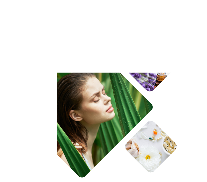 institut hildegardien