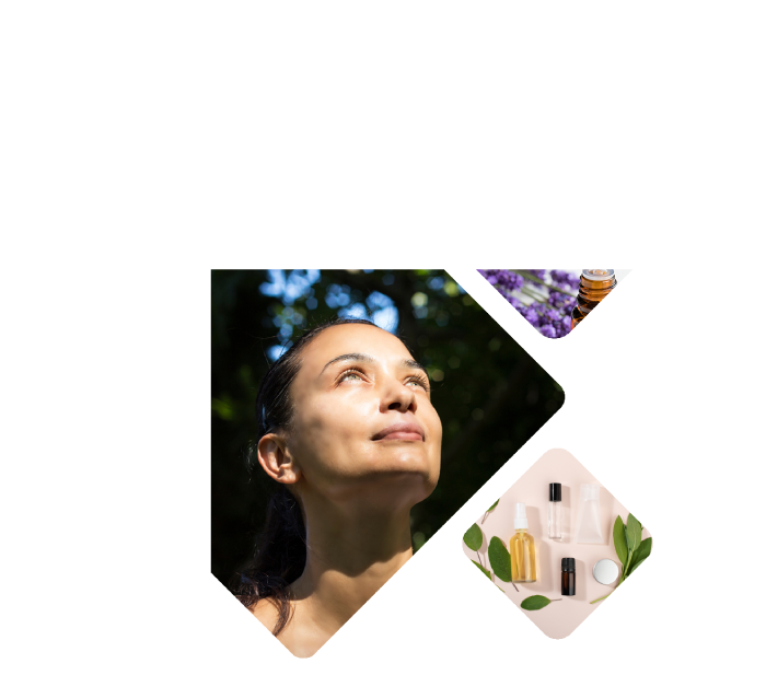 institut hildegardien