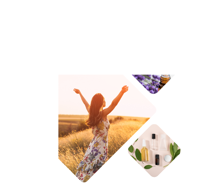 institut hildegardien