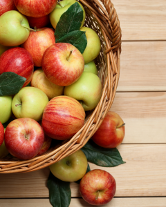 Le jeune et les cures du printemps